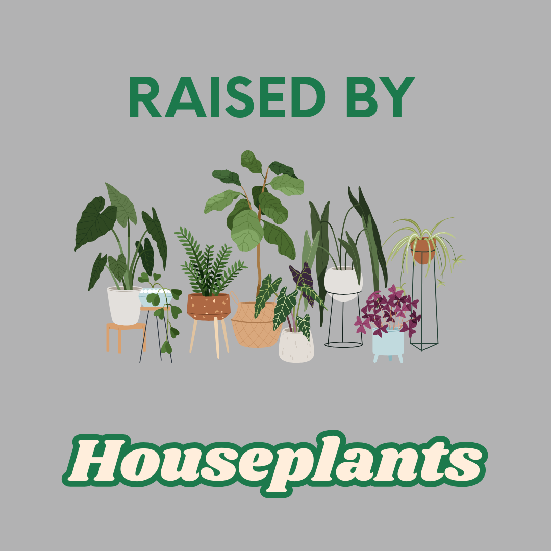 Raised by Houseplants T‑Shirt — Plant Lover Graphic Tee