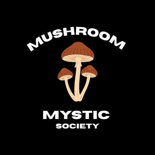 Mushroom Mystic T‑Shirt — Mushroom Mystic Society Graphic Tee