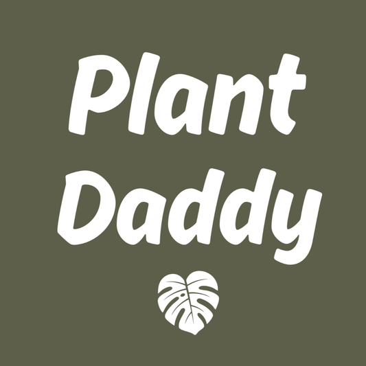 Plant Daddy T-Shirt — Funny Plant Lover Tee with Monstera Graphic